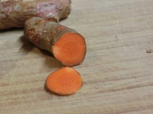 Root of the Turmeric Plant